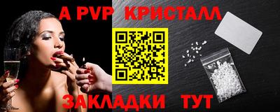 спиды Моздок