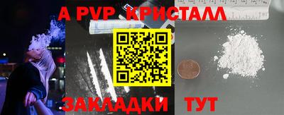спиды Моздок