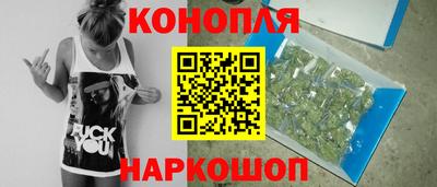 спиды Моздок