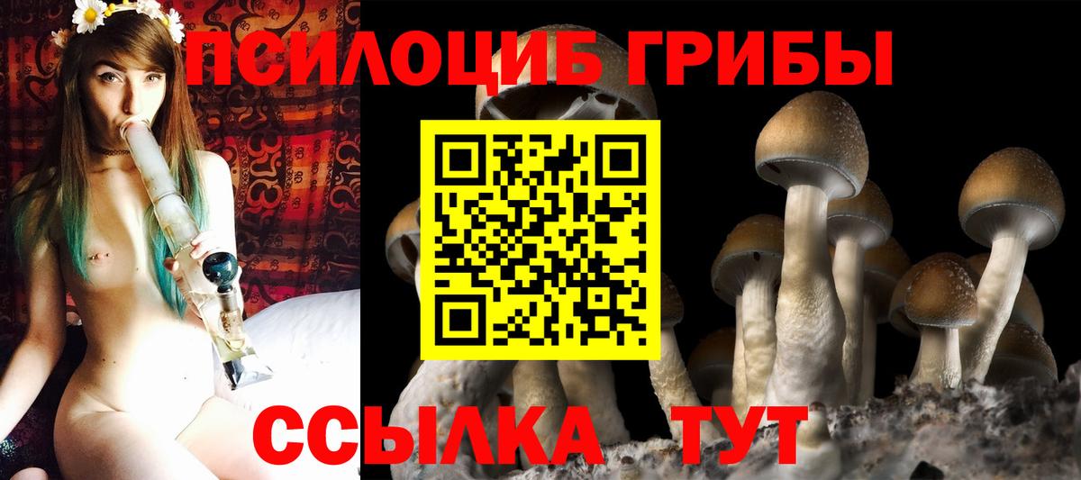 Магадан  Галлюциногенные грибы MAGIC MUSHROOMS  Вход с VPN 